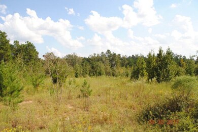 0 Newman Smith Rd unit 418967, Bartow, GA 30434 - photo 3