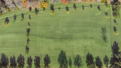 617 Cold Springs Rd, van Alstyne, TX 75495 - photo 3