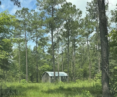 090 County Divide Rd, Pineland, TX 75968 - photo 3