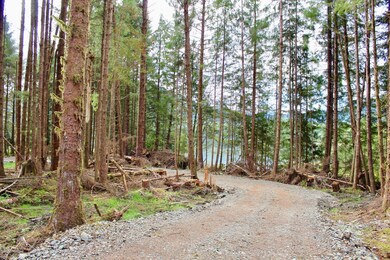 4 Chilkat Rd, Remote, AK 99921 - photo 4