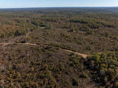 000 Schales Rd, Poughkeepsie, AR 72569 - photo 4