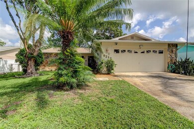 8217 Tahr Ave, New Port Richey, FL 34653 - photo 2