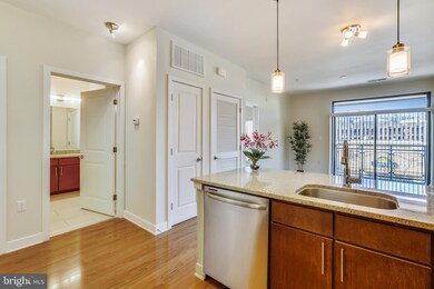 8005 13th St unit 303, Silver Spring, MD 20910 - photo 5