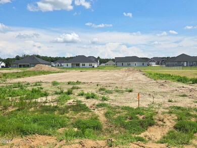 Actual Street View Lot 18