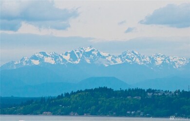 555 Alder St unit B3, Edmonds, WA 98020 - photo 7