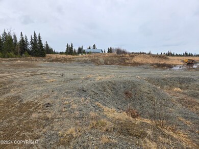 27180 Cloyds Rd, Happy Valley, AK 99556 - photo 6