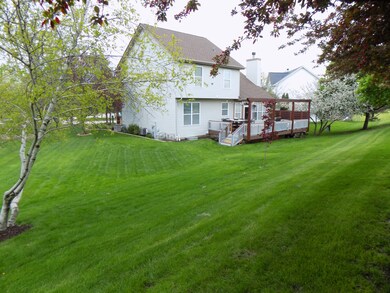 Exterior Back