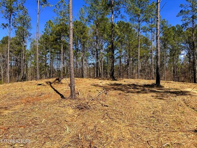 IMG_0156 (1)