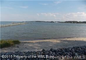 callis warf.jpg