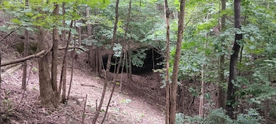CT-2