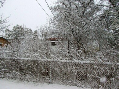 Photo 06