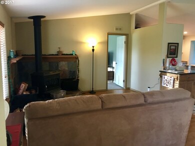 Fireplace Wood Burning Stove/Insert