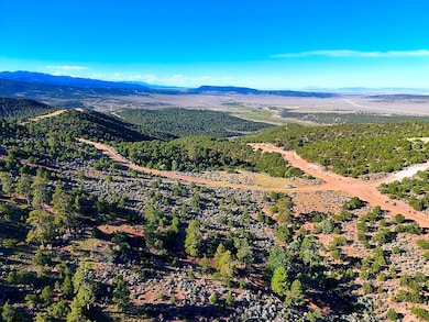 Melcarth Rd, Fort Garland, CO 81133 - photo 7