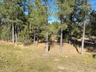 Lot from Fairway
