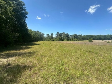 0 Rocky Knob Rd unit 22483768, Sylvania, GA 30467 - photo 7