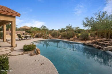 Backyard Oasis