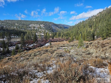 NKN Panther Creek Rd, Shoup, ID 83469 - photo 2