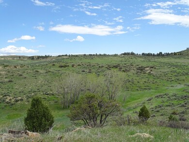 Sage Pasture
