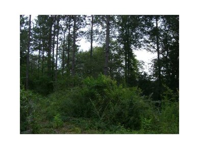 0 Bill Pace Rd, Franklinton, LA 70438 - photo 6