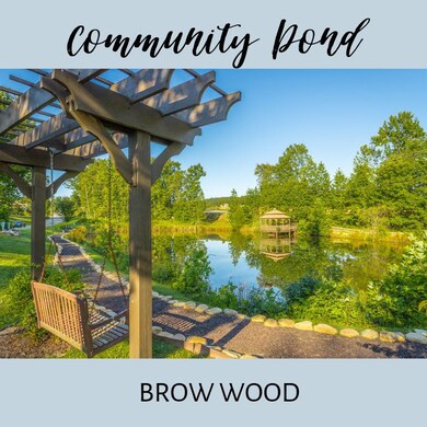 BW Community Pond