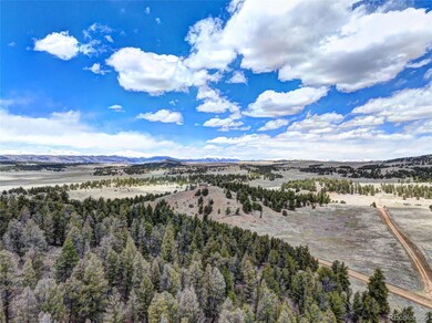 0 Galahad Way unit REC7827714, Hartsel, CO 80449 - photo 4