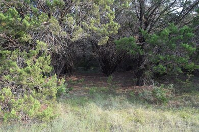 18117 Woodside Dr, Whitney, TX 76692 - photo 6