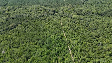 Shady Grove Road Lot unit Wp001, Saline, LA 71070 - photo 4