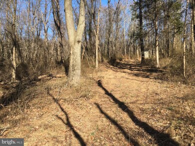 26221 Prescott Rd, Clarksburg, MD 20871 - photo 5