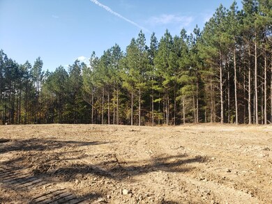 26 Ac Thomas Springs Rd, Crossville, TN 38572 - photo 6