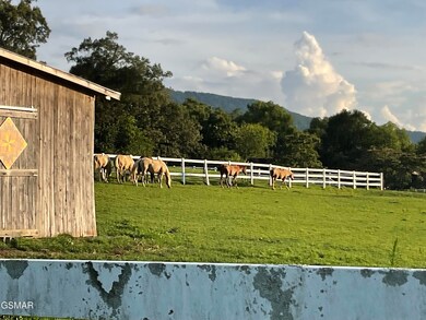 4151 Newport Hwy, Sevierville, TN 37876 - photo 7