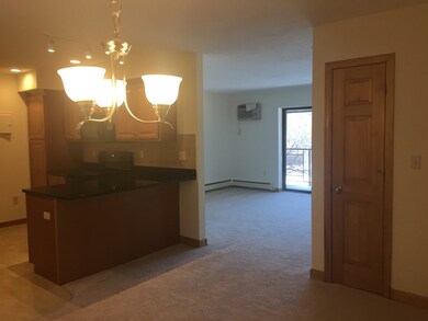 2344 Commonwealth Ave unit 3-3, Auburndale, MA 02466 - photo 3