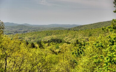 Additional View