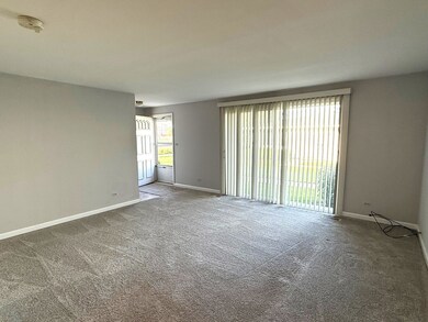 931 Shattuck Ln unit 1272, Schaumburg, IL 60194 - photo 4