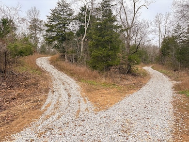 03 Norfork Village St, Tecumseh, MO 65760 - photo 6