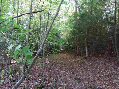 725 Southview Dr, Richmond, VT 05477 - photo 4