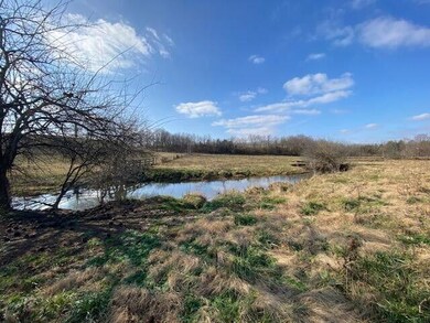 53 Walnut Grove Rd, Carlisle, KY 40311 - photo 5