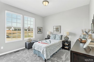 1531 Arlington Heights Way, Imperial, MO 63052 - photo 6