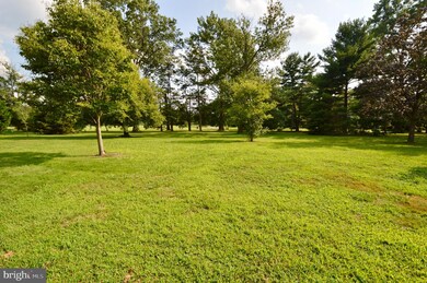 317 Park Ave, Collingswood, NJ 08108 - photo 4