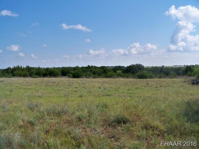 1001 Kellogg Rd, Copperas Cove, TX 76522 - photo 3