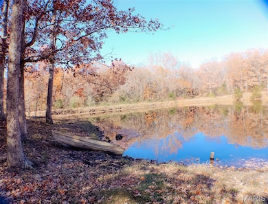 17 Deeker Rd, New Florence, MO 63363 - photo 7