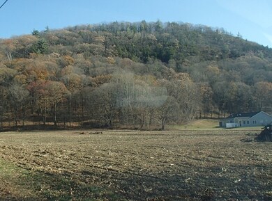 4 Mountain Rd, South Deerfield, MA 01373 - photo 4