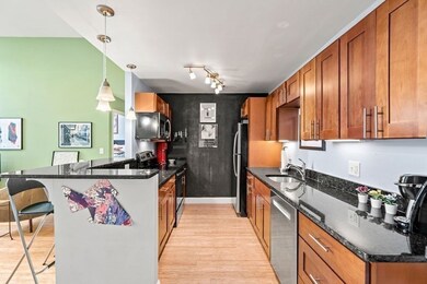 Sumner Hill Condominiums unit 205, Jamaica Plain, MA 02130 - photo 6