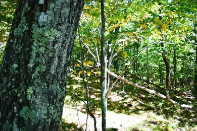 Maine Land for Sale in Frankfort, Maine