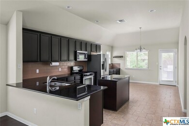 119 Fence Line Dr, San Marcos, TX 78666 - photo 6