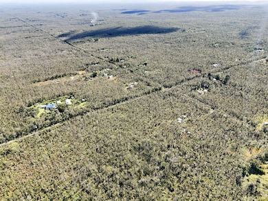 0 Uluhemalu Rd unit 25757387, Volcano, HI 96785 - photo 4