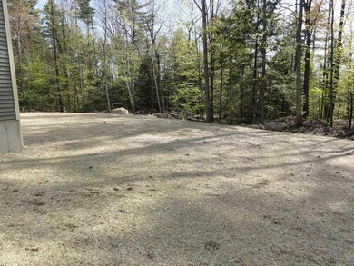 Yard/Garden.