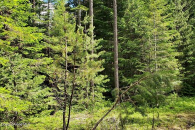 Borders National Forest Land
