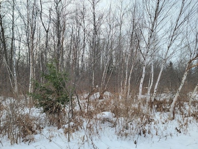 off N Weirgor Rd unit 5 Acres, Exeland, WI 54835 - photo 4