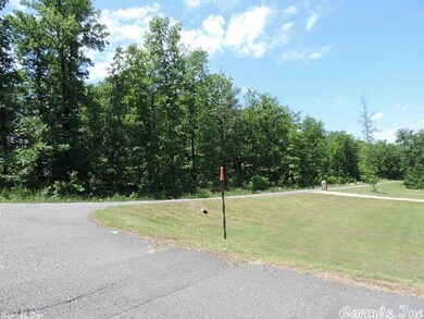 0 Cordial Cove unit 15015916, Conway, AR 72032 - photo 4