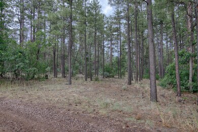 Mature Pines